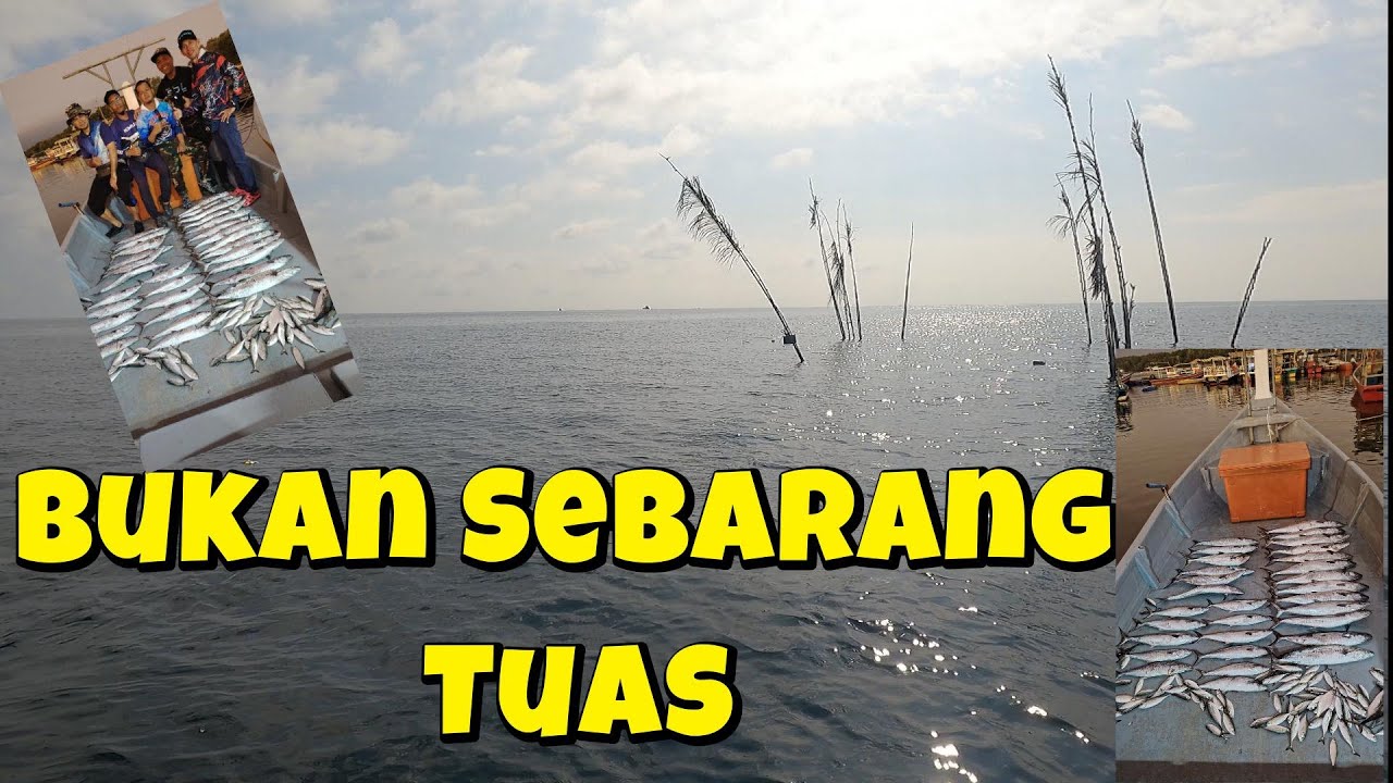 Menggasak 30 Ekor Tenggiri di Tuas Telok Bayu (Tekong Jun)