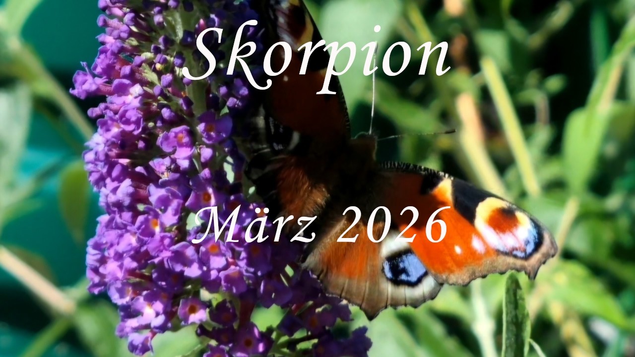Skorpion im März 2026: Neustart ✨ Folge deinen Impulsen 📈
