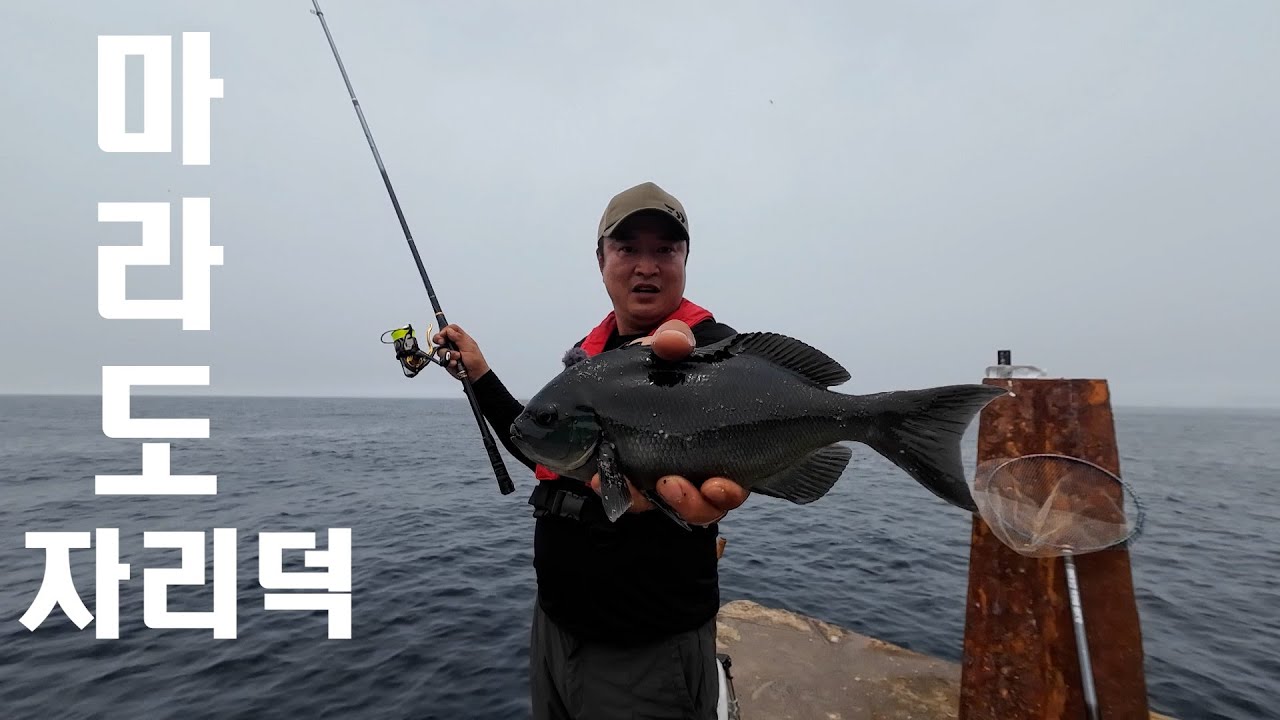 마라도 자리덕 2023 0702~#131