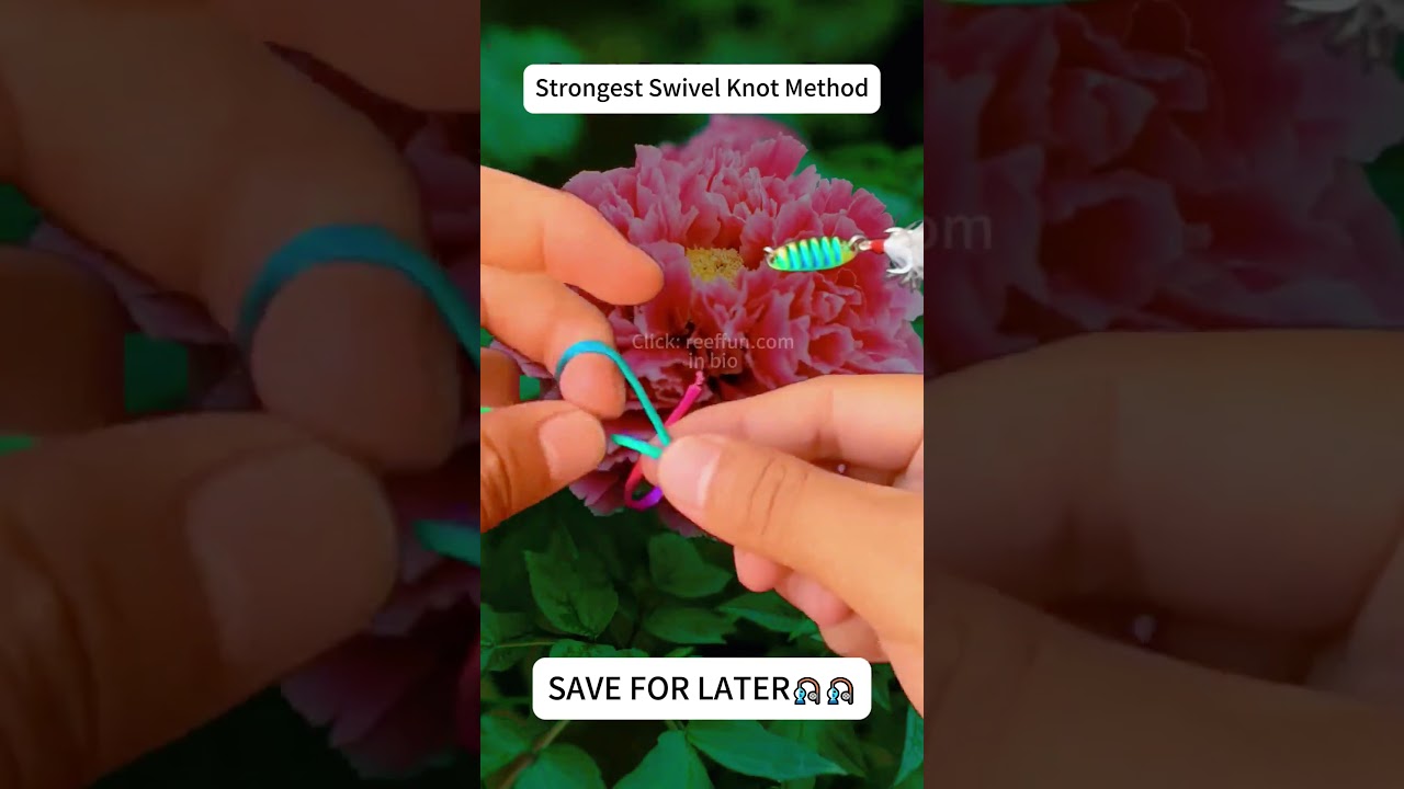 Swivel Knot Tutorial | Strongest Main Line Knot 🎣  #reeffun #fishing #fishhook #diy #fishinghook