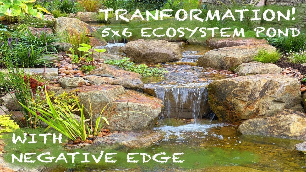From Nothing to Nature: Wildlife Pond & Stream Final Reveal!