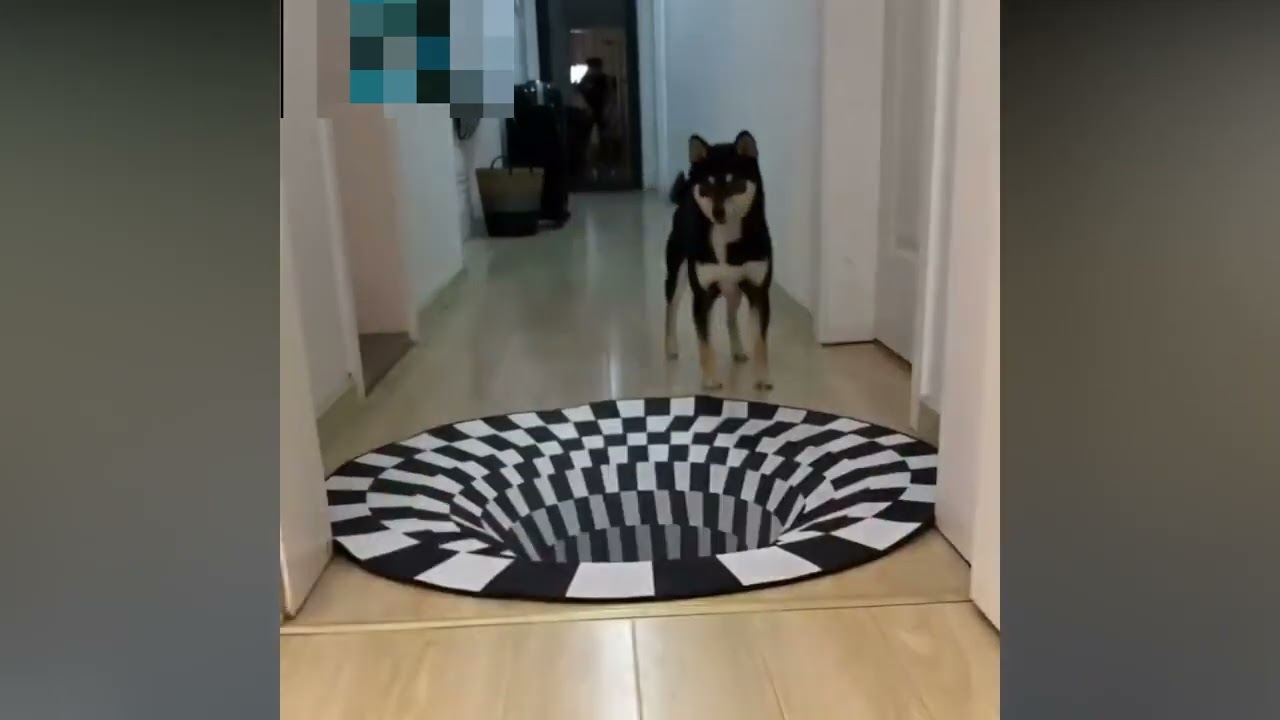 TIKTOK, Round Vortex 3D Illusion Carpet, Anti-Slip Carpet, Vortex Illusion Rug,TIKTOK