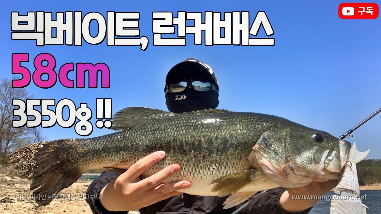 [마린95] 안동호, 58cm(3550g) 초특급런커배스 !!