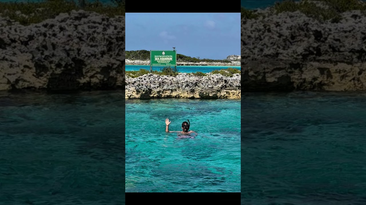 Donald Trump Jr. Married in The Bahamas