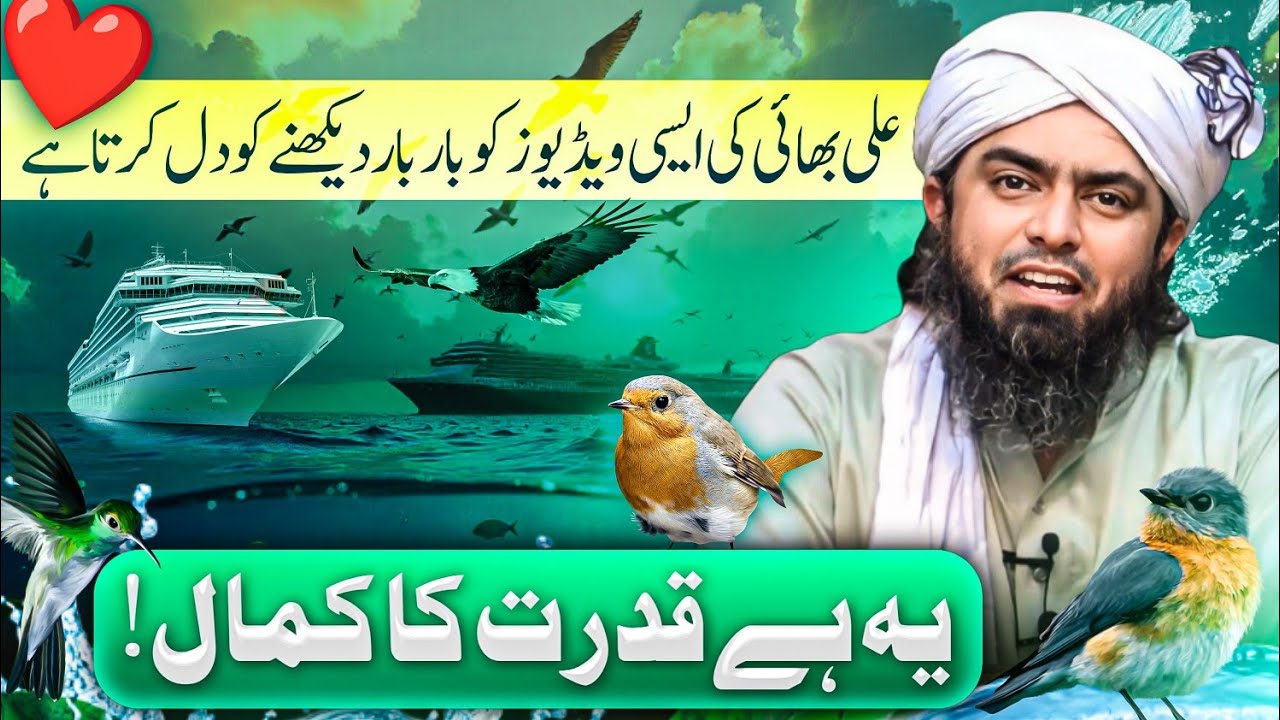 God's Programming in Nature | Allah's System Unveiled | Engineer Muhammad Ali Mirza