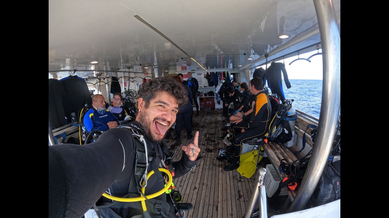 Kızıldeniz'in Derinliklerinde: Köpek Balıklarıyla Dalış - Shark Diving 🦈