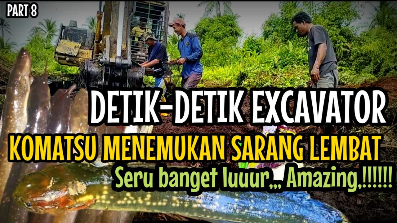 Detik-detik Excavator menemukan sarang ikan Lembat Amazing pisan..!!