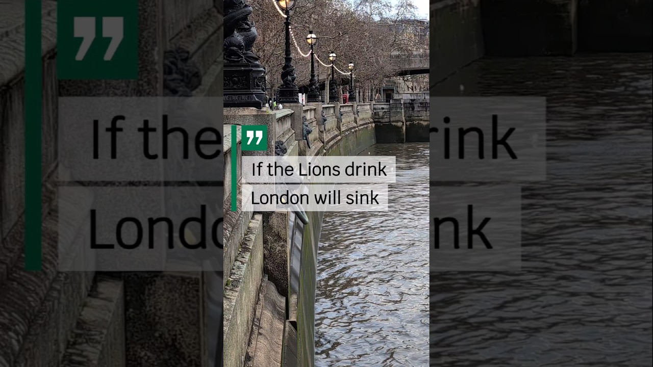If the lions drink, London will sink 🌊