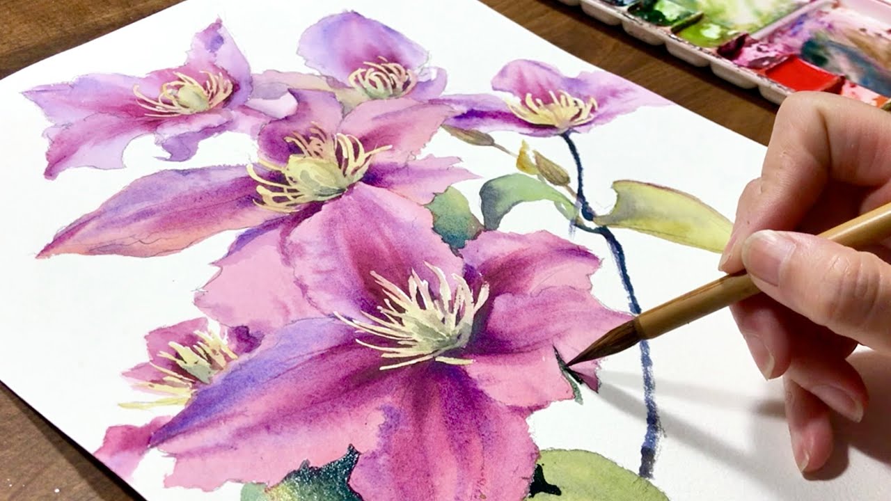 Realistic watercolor flowers clematis which from my garden | step by step tutorial