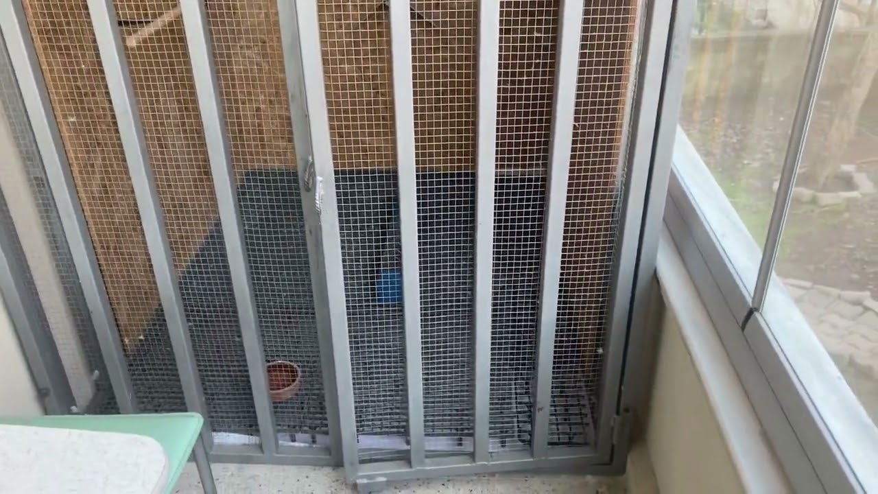Güvercin balkon kümesi dizayn