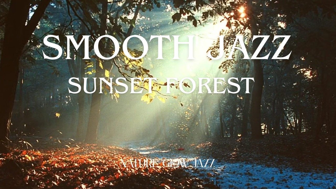 Sunset Forest Jazz Instrumental Mix 🎷 Peaceful Evening Jazz in Nature