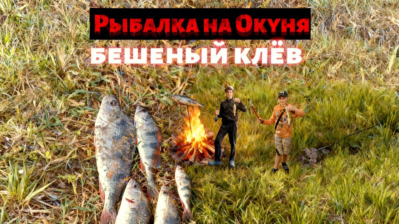 Весенняя рыбалка на окуня: Тактика и приманки 🎣