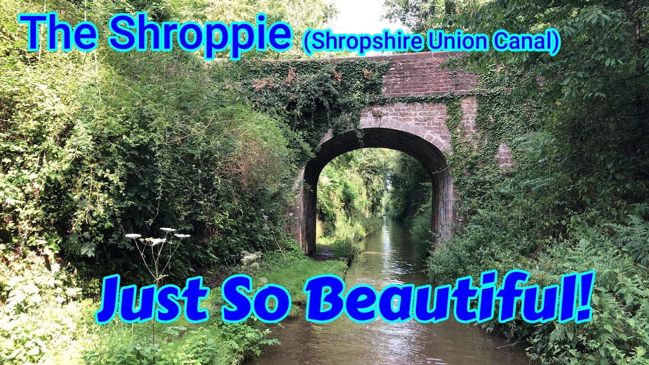 The Shroppie! Probably the most beautiful canal in the UK..... for us so far at least! 142