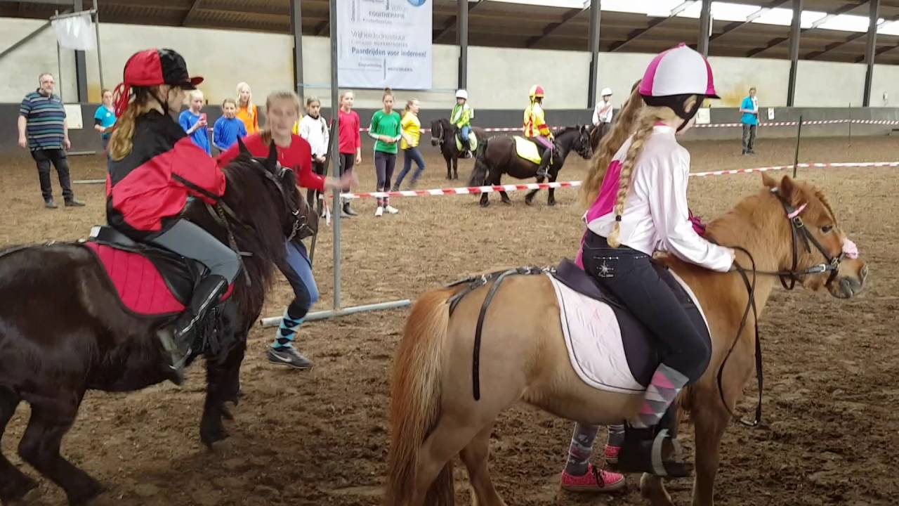 shetlander race