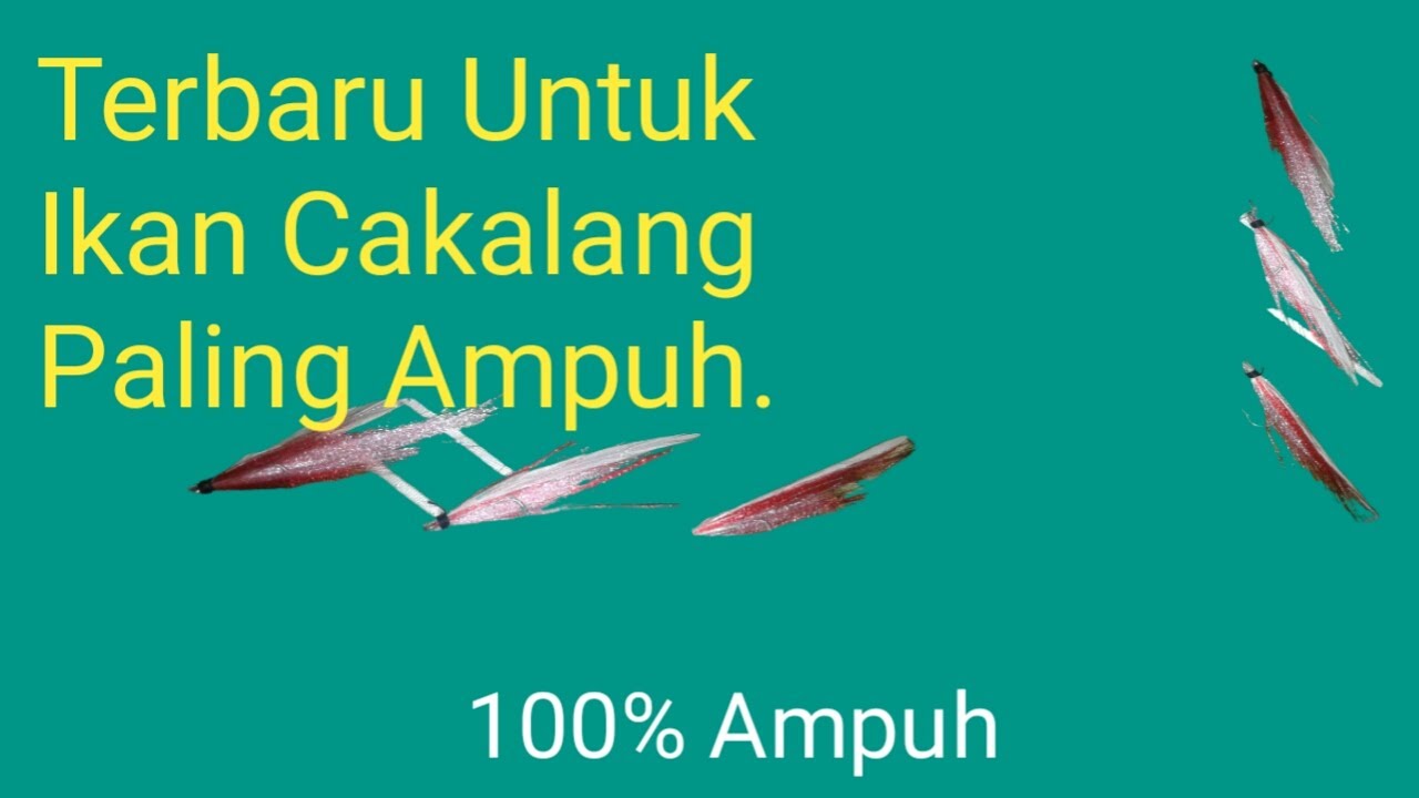 CARA MEMBUAT UMPAN IKAN CAKALANG