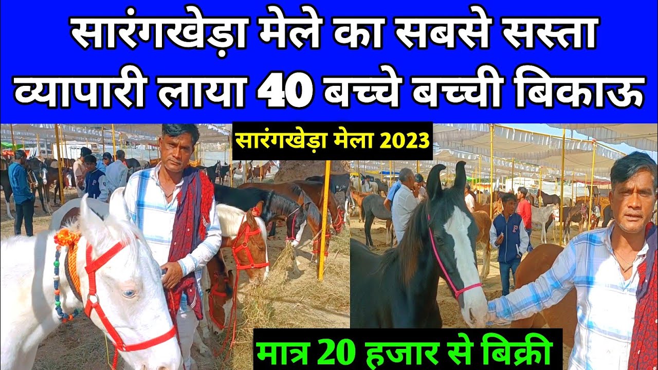 मेले का सबसे सस्ता व्यापारी लाया 20 हजार से 1 लाख तक बिक्री वाले 40 बच्चे बच्ची।SARANGKHEDA MELA।
