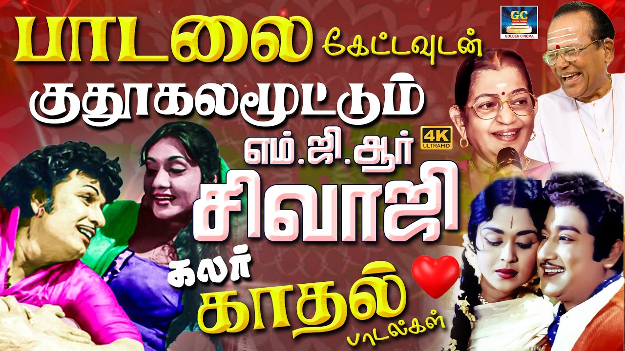 பாடலை கேட்டவுடன் குதூகலமூட்டும் எம்.ஜி.ஆர் சிவாஜி கலர் காதல் பாடல்கள் | TMS - Susheela Love Songs.