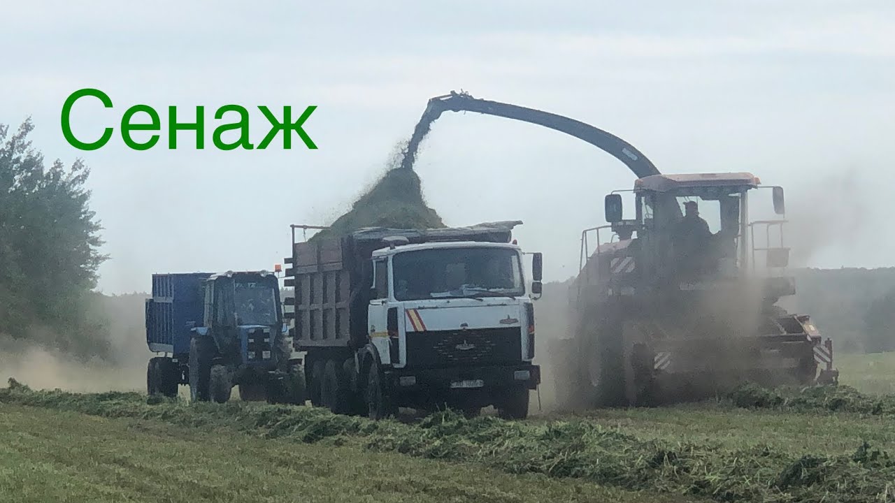 Заготовка сенажа / ПАЛЕССЕ FS80, МАЗ 5516, БЕЛАРУС 82.1, БЕЛАРУС 1221В.2 и др.  /
