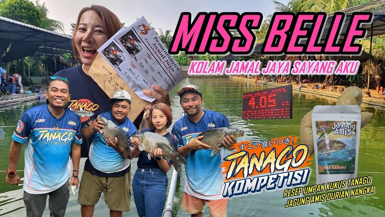 MISS BELLE X TANAGO - JUARA INDUK 1 & TOTAL INDUK @PMC JAMAL JAYA, UMPAN KUKUS TANAGO MEMANG JAGO!!!