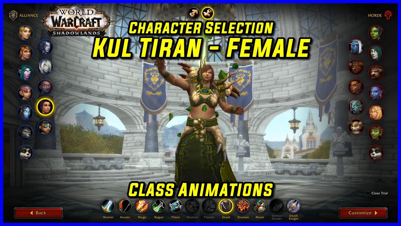 WoW Class Animations - Kul Tiran Female - WoW Shadowlands  Character Creation Screen