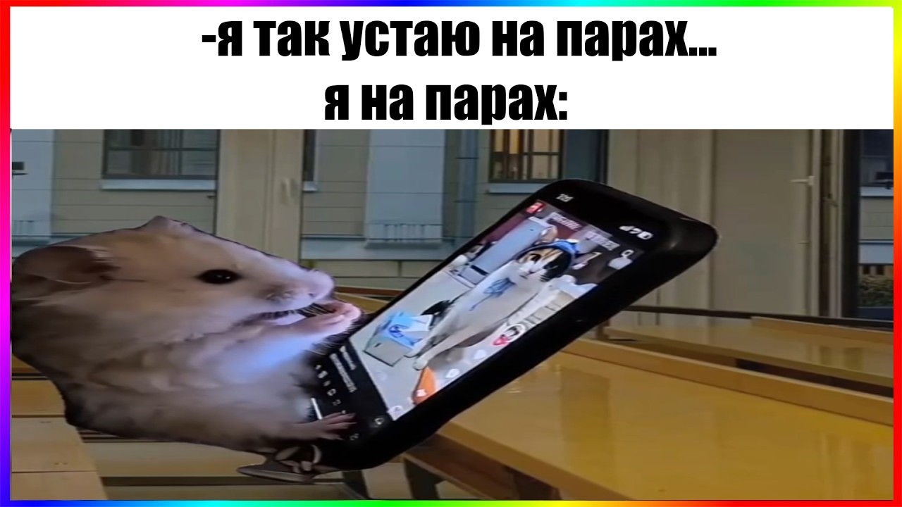 тик ток на парах | подборка мемов