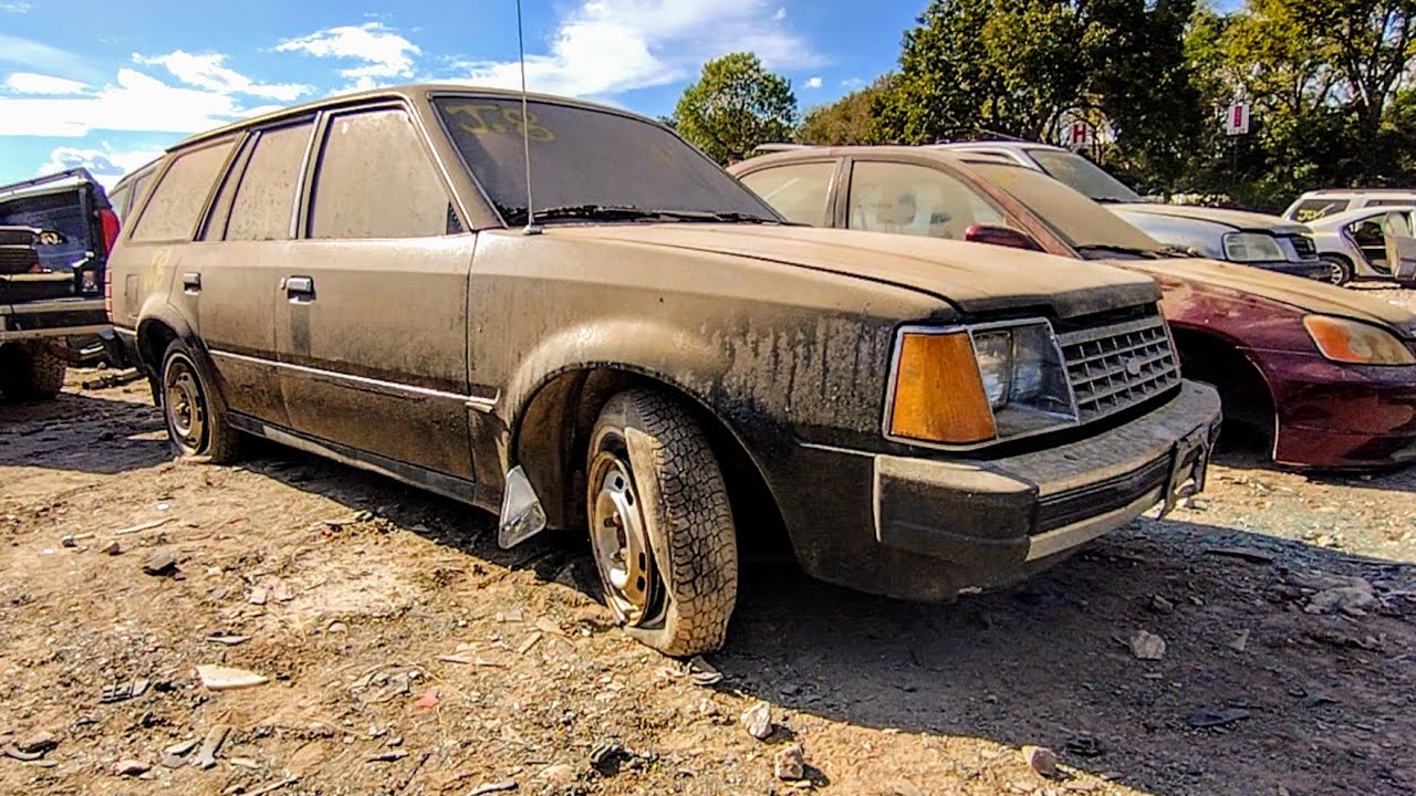 1k View Challenge 😄 Unsub Special 1982 Ford Escort Wagon Junkyard Find