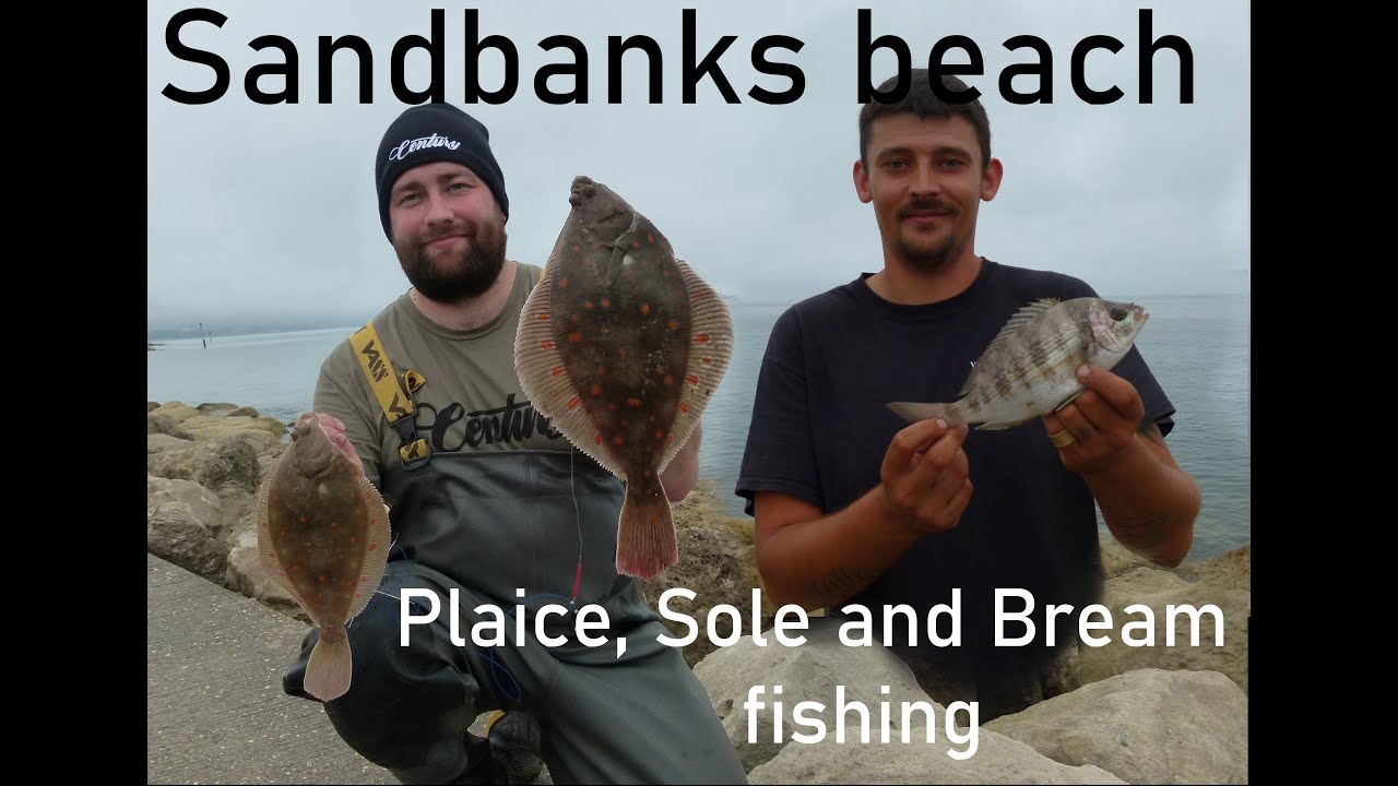 Vision Angling EP17: sea fishing uk at Sandbanks beach  Aug 15TH plaice sole bream hounds