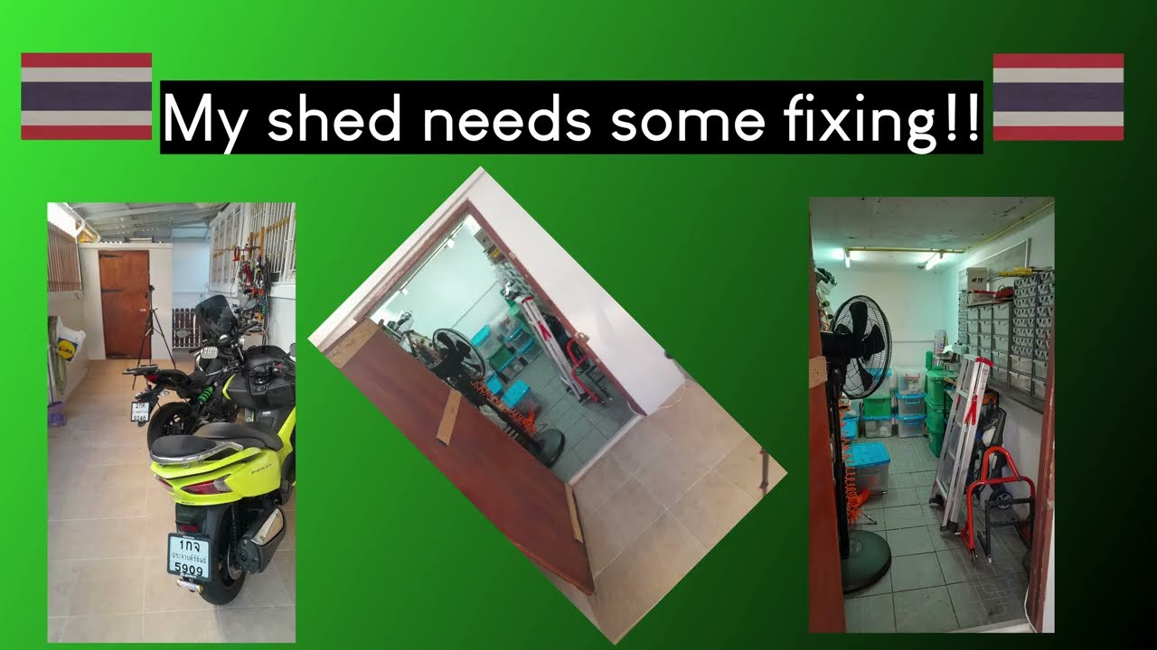 2025 12 My shed needs new shelves