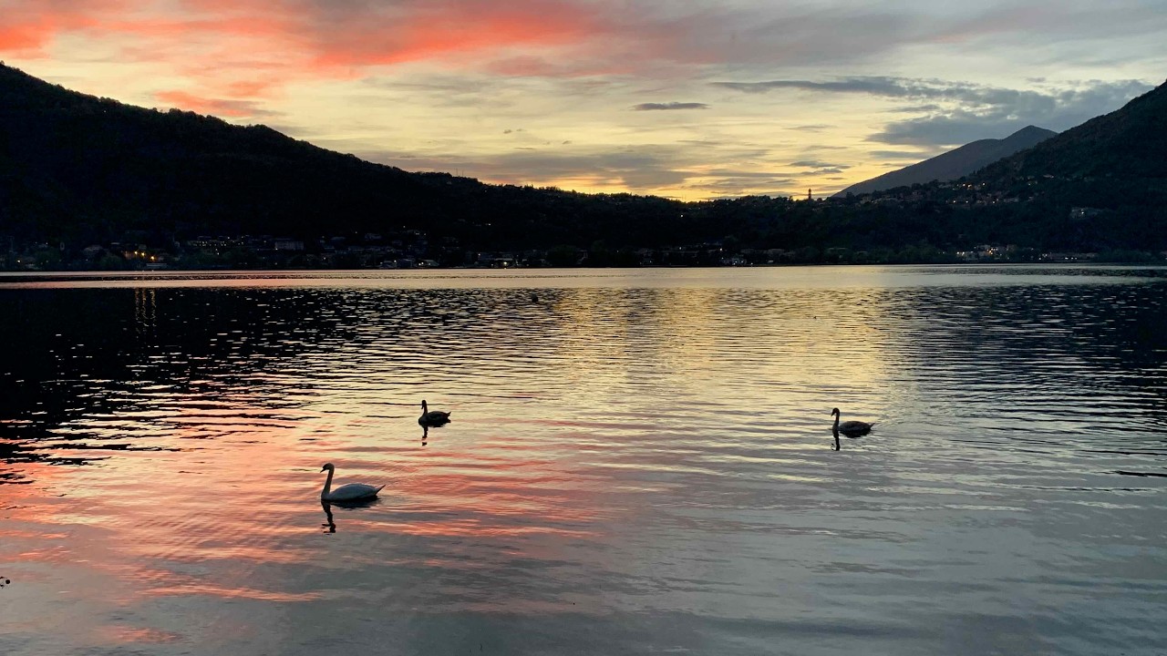 Periplo del laghi di Garlate e di Olginate con tramonto rosseggiante