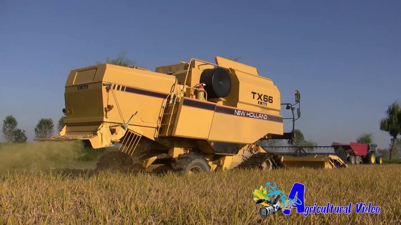 New Holland TX66 Rice Harvest 2016