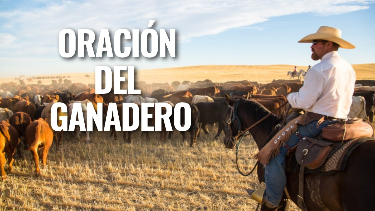 ORACI&Oacute;N DEL GANADERO: EL HOMENAJE QUE TODO GANADERO MERECE ESCUCHAR 🐂🐂