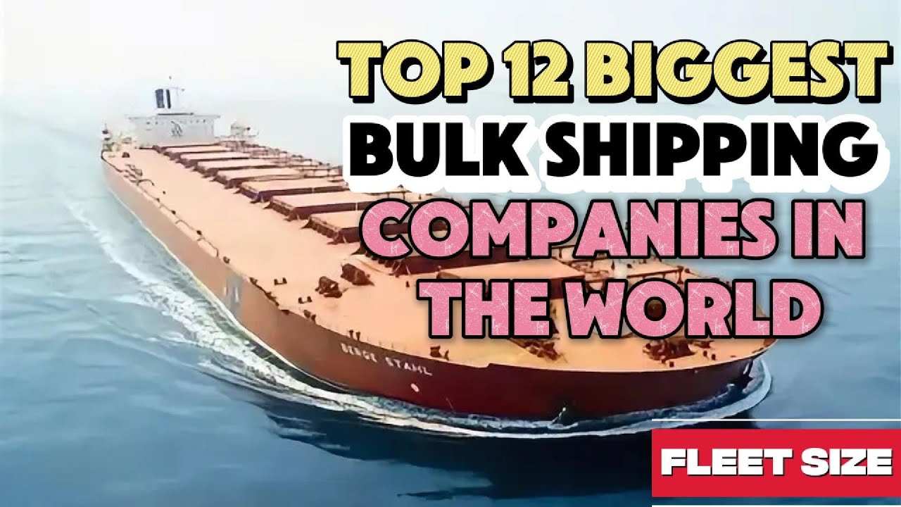 Top 12 Biggest Bulk Shipping Companies in the World (By Fleet Size)
