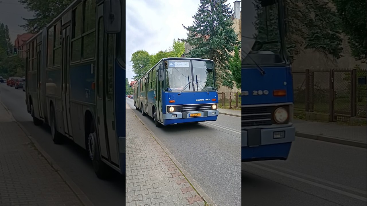 Ikarus 280.40A, zlot w Mysłowicach #autobus #bus #ikarus