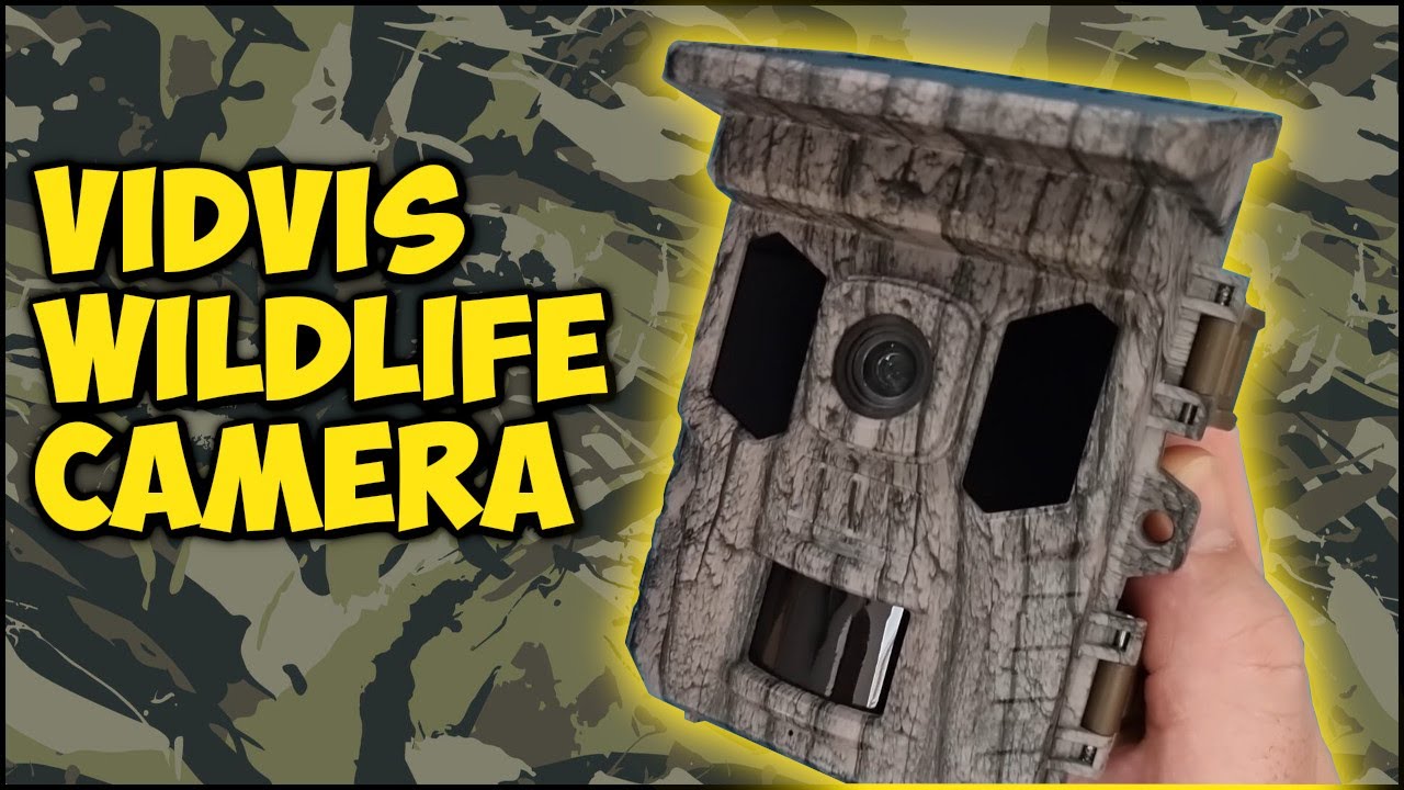 Testing the VIDVIS 4K | WIFI Trail Camera |