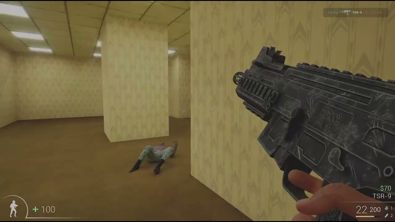 Call of Brothers: The Backrooms Zombie Survival_20260109014113