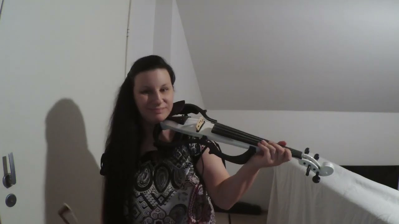 Lasse Mårtenson - Myrskyluodon Maija ( Violin cover )