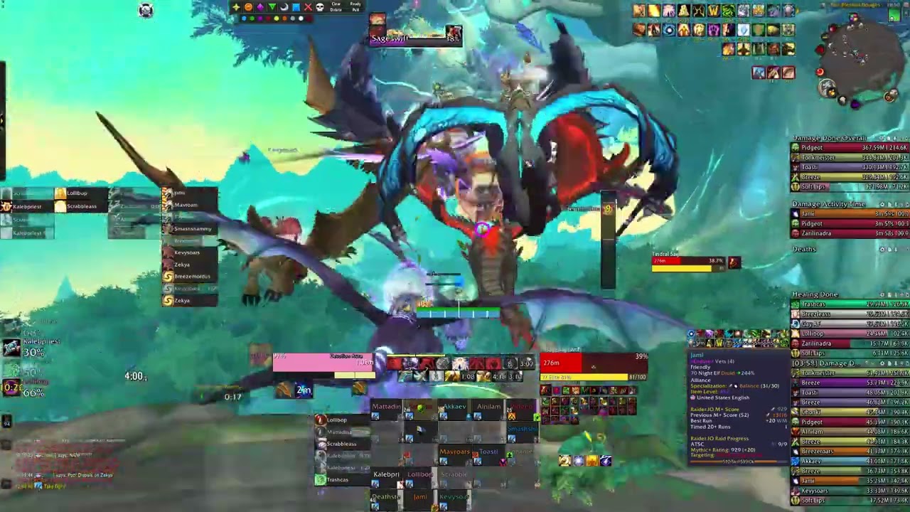 Endure vs Heroic Tindral Sageswift Protection Paladin PoV