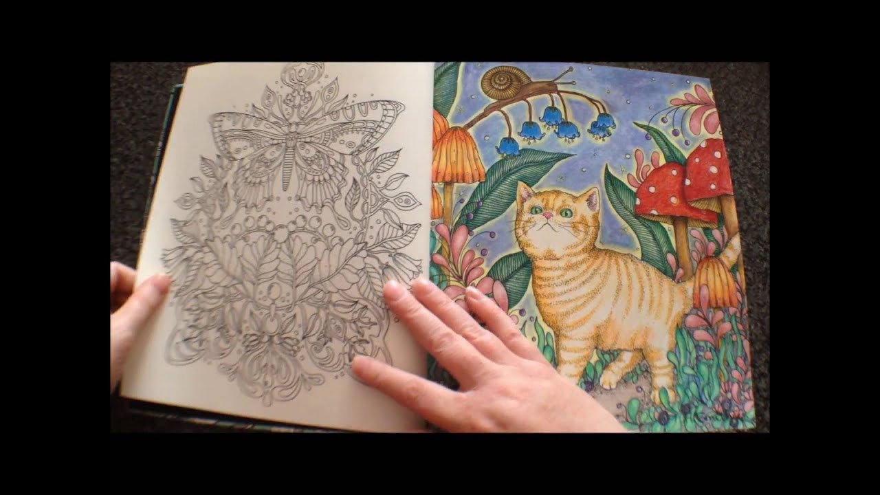 Dagdrommar Colouring Book by Hanna Karlzon flipthrough with some coloured pictures