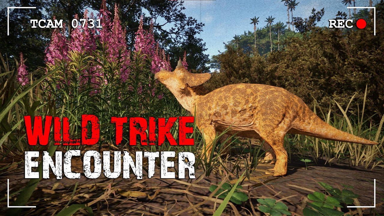 Juvenile Triceratops Encounters Wild Herd | The Isle: Evrima Trail Cam Footage (No Commentary)