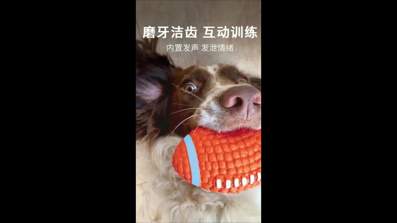 耐咬狗狗玩具，柔软发声还能清洁牙齿，大号超自嗨！#网红狗玩具 #狗狗玩具 #清洁牙齿 #宠物自嗨 #耐咬发声