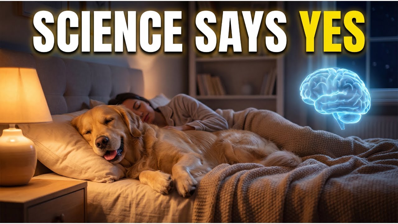 Sleeping Next to Your Dog Has Unexpected Health Benefits (Science Says)