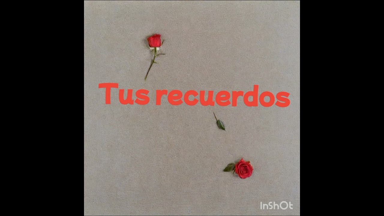 Tus recuerdos 