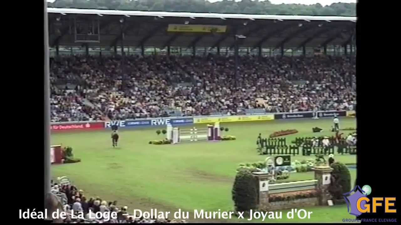 Id&eacute;al de la Loge