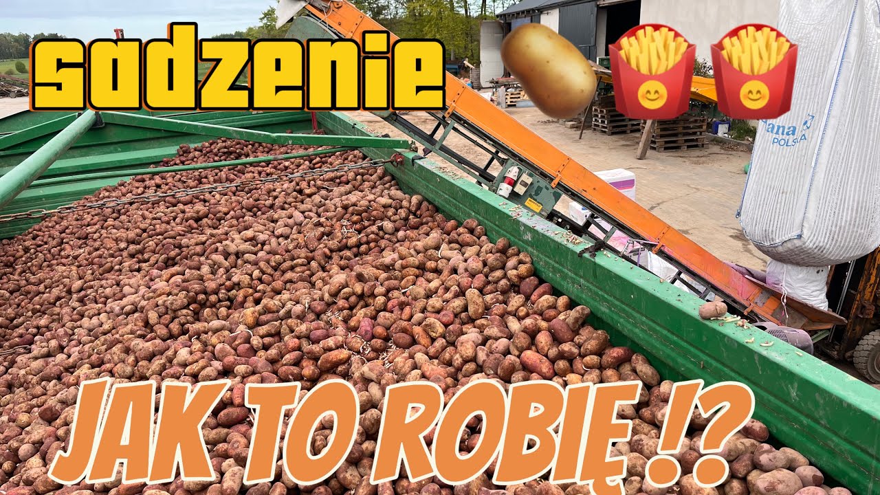 Czy warto zaprawiać ziemniaki ? 😵‍💫🧐Odkamienianie daje super efekty przy sadzeniu 🤩