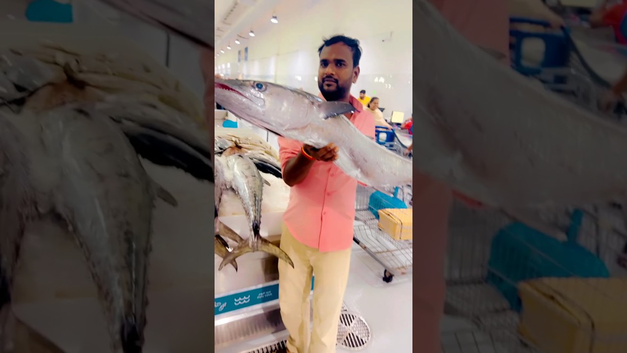 Giant king Fish !Seer fish #fish #giantfish #seerfish #kingfish #fishvideo #shorts