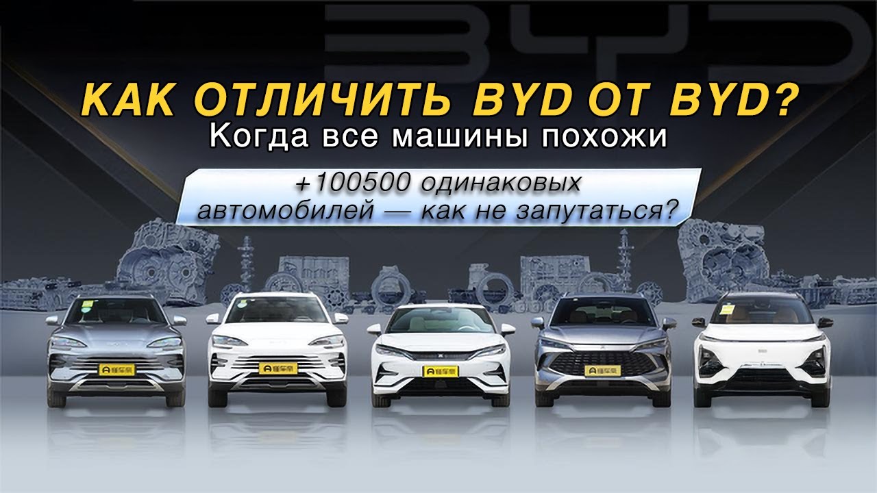 BYD: Когда выбор — это просто головоломка!