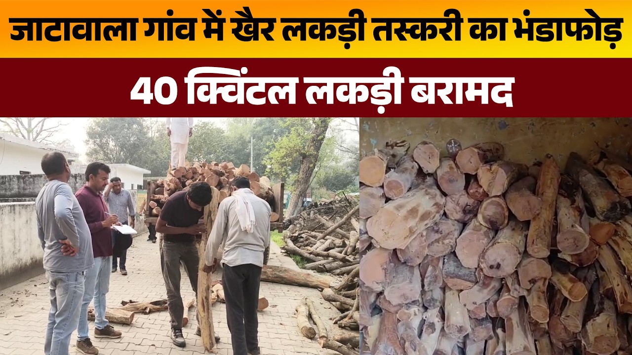 जाटावाला गांव में खैर लकड़ी तस्करी का भंडाफोड़, 40 क्विंटल लकड़ी बरामद