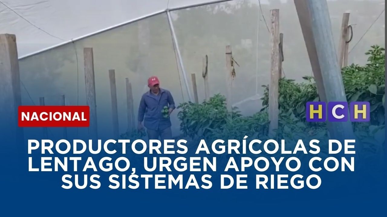 Productores agrícolas de Lentago, urgen apoyo con sus sistemas de riego