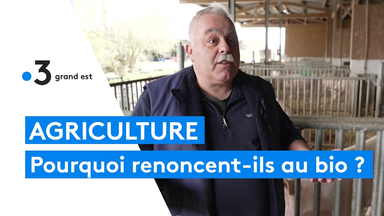 Ces agriculteurs qui renoncent au bio
