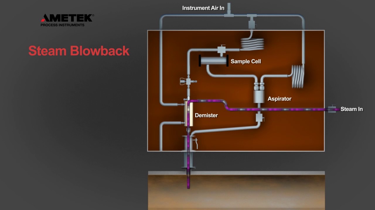 AMETEK Model 888 Steam Blowback